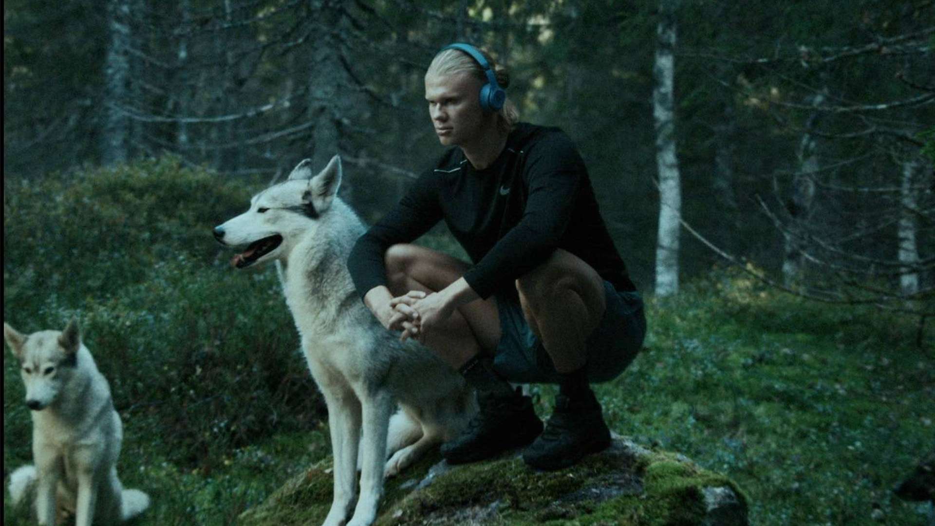 发挥和成长 发挥和成长